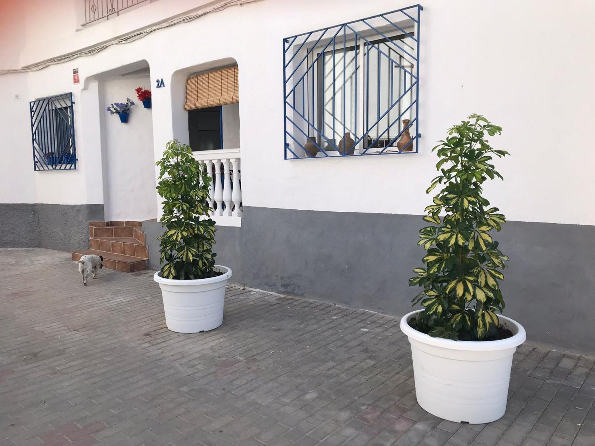 Apartamentos Lolitalola Holidays Salobreña Extérieur photo